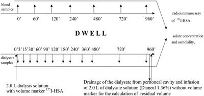 Long Peritoneal Dialysis Dwells With Icodextrin: Kinetics of Transperitoneal Fluid and Polyglucose Transport